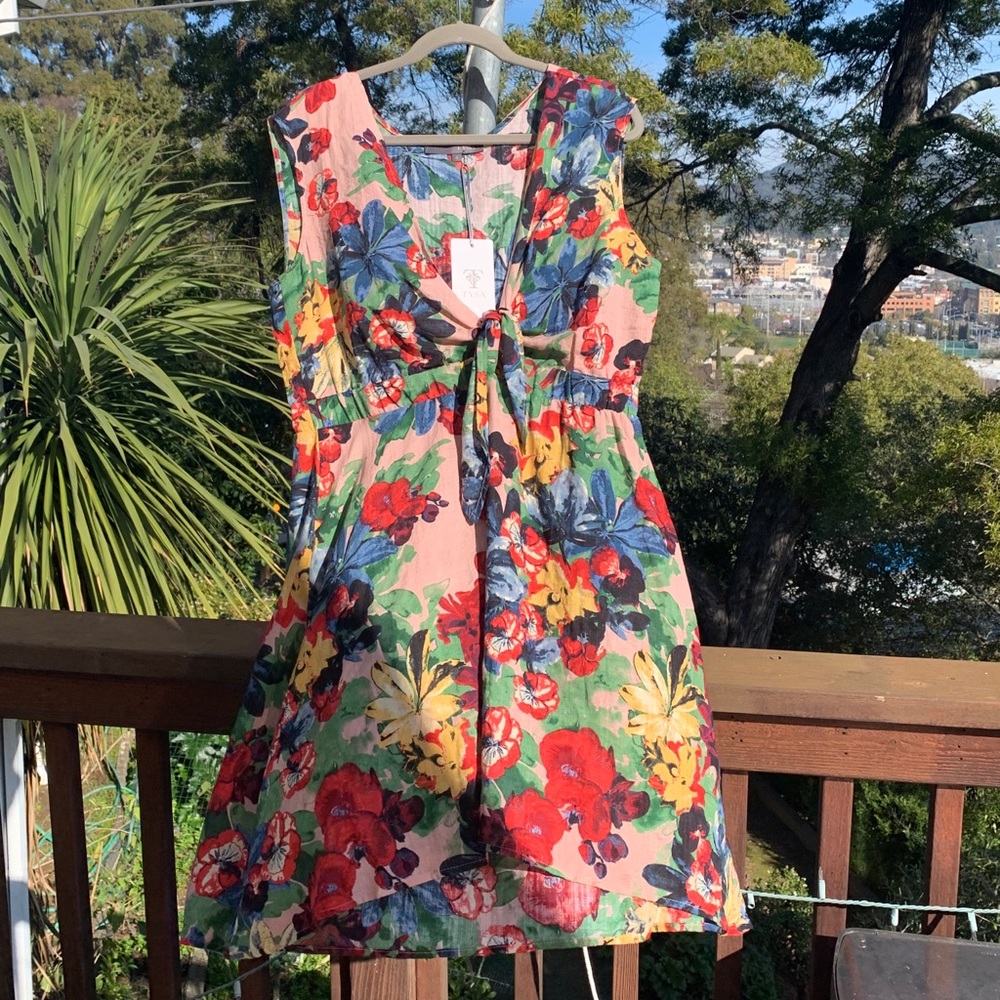Tysa spring summer dress in Monet